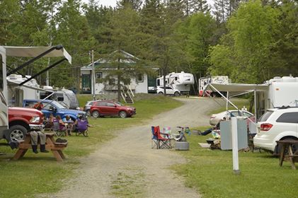 Le camping Causapscal chez Moose est ouvert à partir du 5 juin 2026 jusqu'au 7 septembre 2026 (fête du travail).
